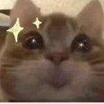 小白项目网的头像-小白项目网