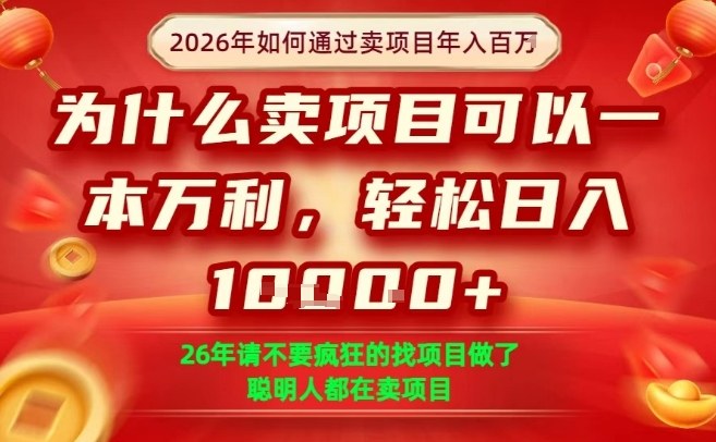 一单净利润1K+，26年想年入100个W，死磕卖项目就够了【揭秘】-小白项目网