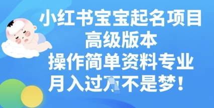 小红书宝宝起名项目高级版本，操作简单，资料专业，月入过W-小白项目网
