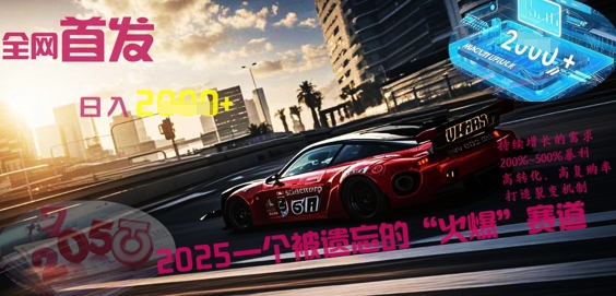 全网首发：2025一个被遗忘的“火爆”赛道轻松日入多张-小白项目网