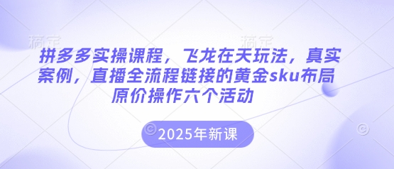 拼多多实操课程，飞龙在天玩法，真实案例，直播全流程链接的黄金sku布局原价操作六个活动-小白项目网