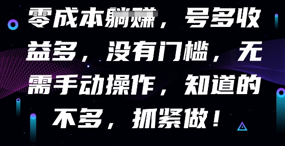 零成本全自动，号多收益多，没有门槛，无需手动-小白项目网