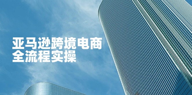 （14252期）亚马逊跨境电商全流程实操，教你从零开始，掌握店铺运营与广告技巧-小白项目网