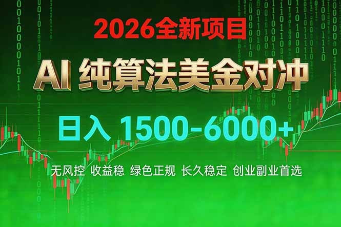2026 全新美金对冲项目，不套平台赠金，不封号，纯算法对冲，日入 1500-6000+-小白项目网