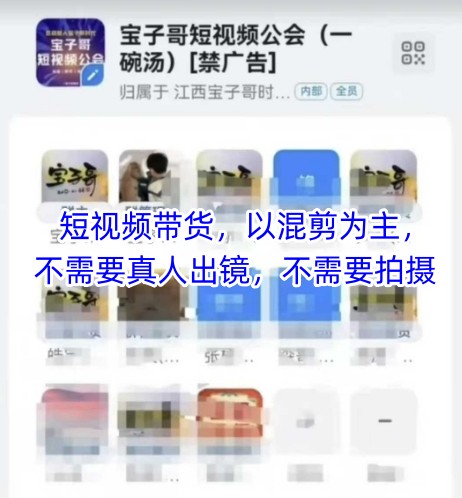 宝子哥头部团队短视频带货，以混剪为主，不需要真人出镜，不需要拍摄【更新26年3月】-小白项目网