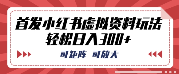 首发小红书虚拟资料玩法，可矩阵，可放大，轻松日入3张-小白项目网