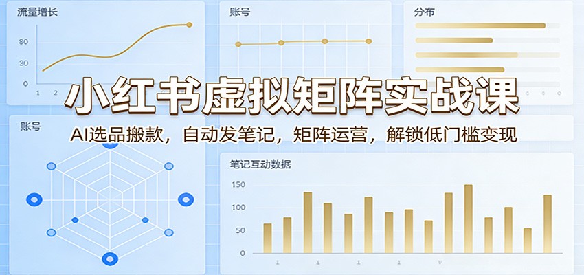 小红书虚拟矩阵实战课：AI选品搬款，自动发笔记，矩阵运营，解锁低门槛变现-小白项目网