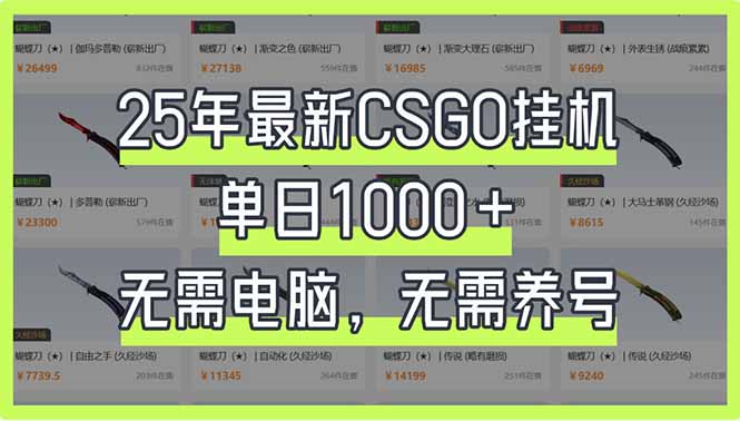 （14178期）25年最新CSGO挂机系统，单日1000+，无需电脑，无需养号，0基础可上手-小白项目网
