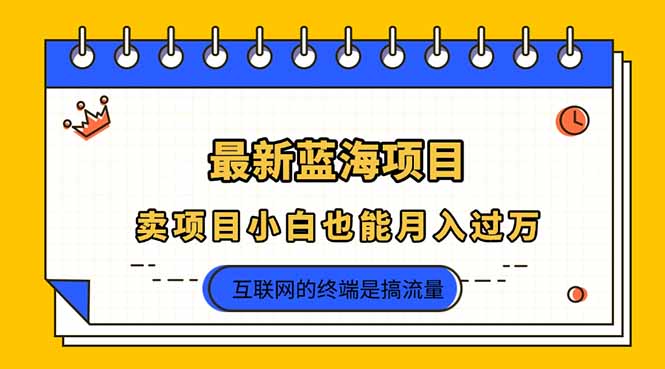 （14289期）2025年最新蓝海项目，卖项目小白也能月入过万-小白项目网