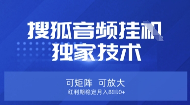 【搜狐音频挂G】独家技术，可矩阵可放大，红利期稳定月入8k【揭秘】-小白项目网