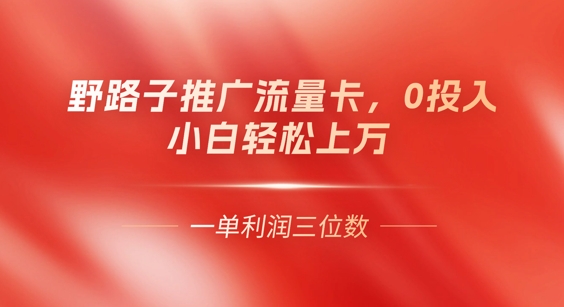 0门槛推广流量卡，一单收益上百，0投入，小白月入过W-小白项目网