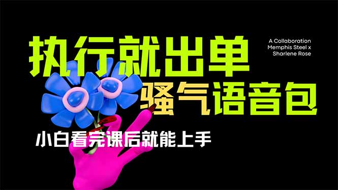 （14170期）爆火全网的开车导航骚气语音包,只要执行就出单，小白看完课程就能实操...-小白项目网
