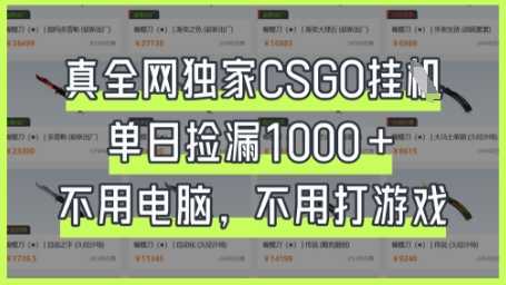 真全网独家CSGO挂G，单日捡漏1k+【揭秘】-小白项目网