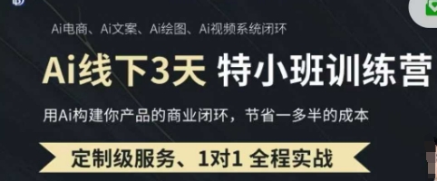 AI实操培训第20-21期线下，0基础保姆级教程，3月最新整理，企业获客、降本增效、打造超级个体-小白项目网