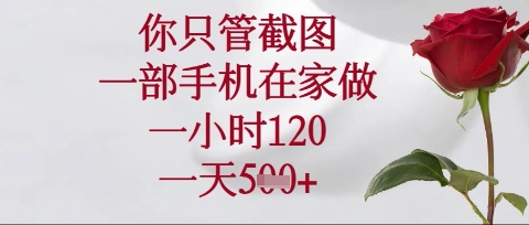 你只管截图，一部手机在家操作，一小时120.一天5张【揭秘】-小白项目网